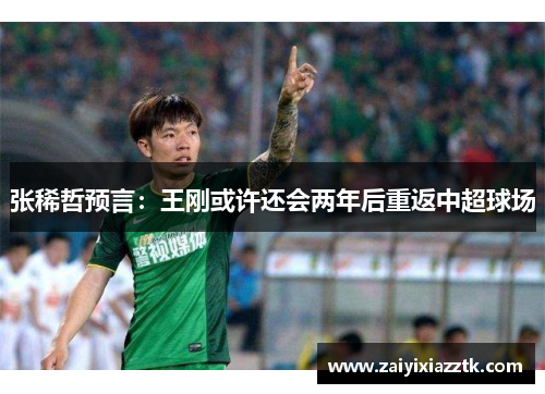 张稀哲预言：王刚或许还会两年后重返中超球场
